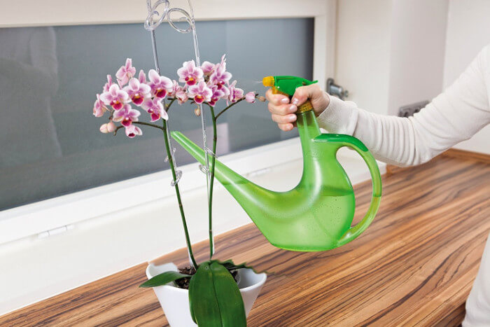 スプレーとジョウロが一体化！scheurich（シューリッヒ）SPRAYMAN（スプレーマン）