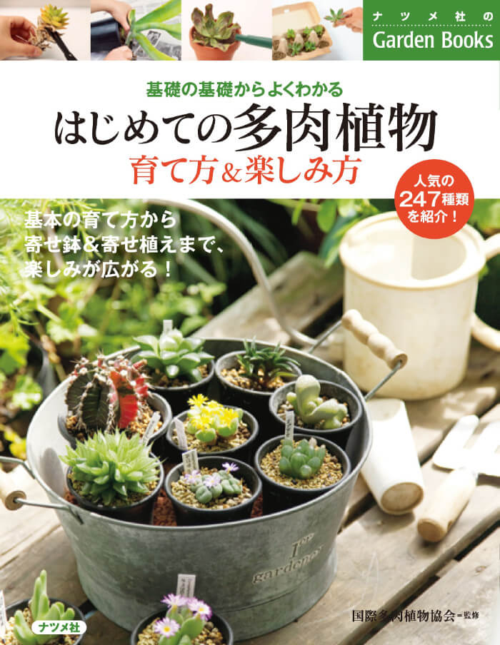 かわいい多肉植物を飾ろう！おすすめの寄せ植えとガイドブック集 - inzak