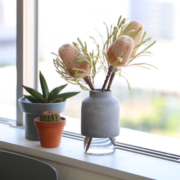 menu（メニュー）Willmann Vase（ウィルマンベース）