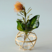 公長斎小菅（こうちょうさいこすが）くす玉花入れ M