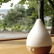 +LUMBER（プラス・ランバー）AROMA DIFFUSER HAMON