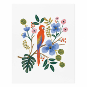 Rifle Paper(ライフルペーパー)アートプリント Macaw(マコーインコ)