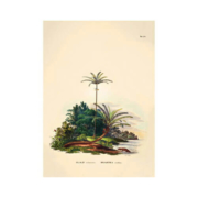 THE DYBDAHL(ディブダール)Botanical Palm Print(ボタニカルパームプリント)3535
