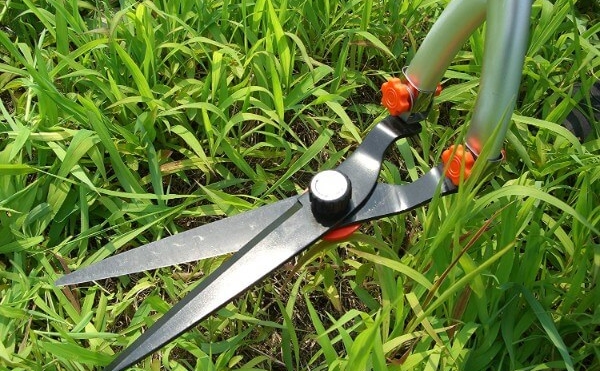 草刈り作業をもっと楽しく。効率的に草を刈れるおすすめの道具