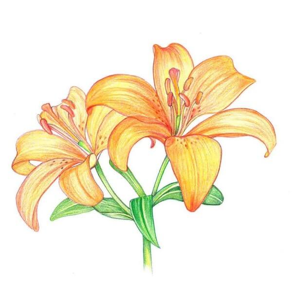 繊細な四季を表現。色辞典 第一集 30色 CI-RTAのイメージ画像