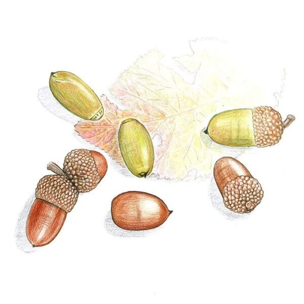 自然の息遣い。色辞典 第二集 30色 CI-RTBのイメージ画像