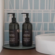 Aroma Fresco（アロマフレスコ）シェイクハンド ウオッシング ソープ 480mL