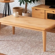 ISSEIKI（一生紀）ERIS（エリス）105 CENTER TABLE (NA)