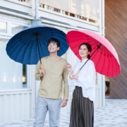 mabu（マブ）超軽量24本骨傘 江戸 SMV-4029